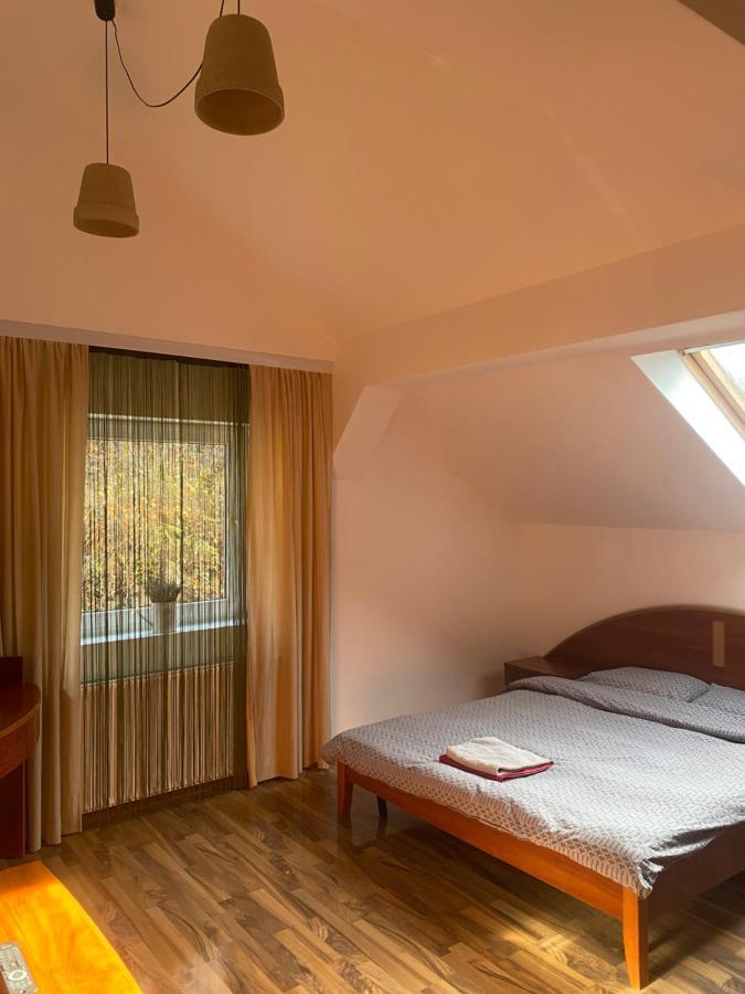 Villa Zetta Braşov Extérieur photo