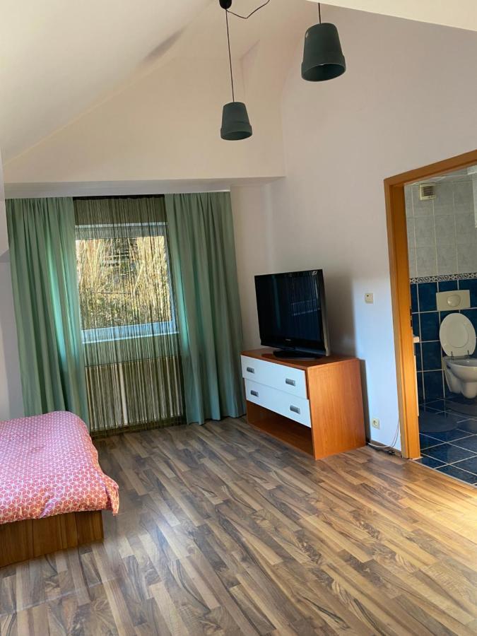 Villa Zetta Braşov Extérieur photo
