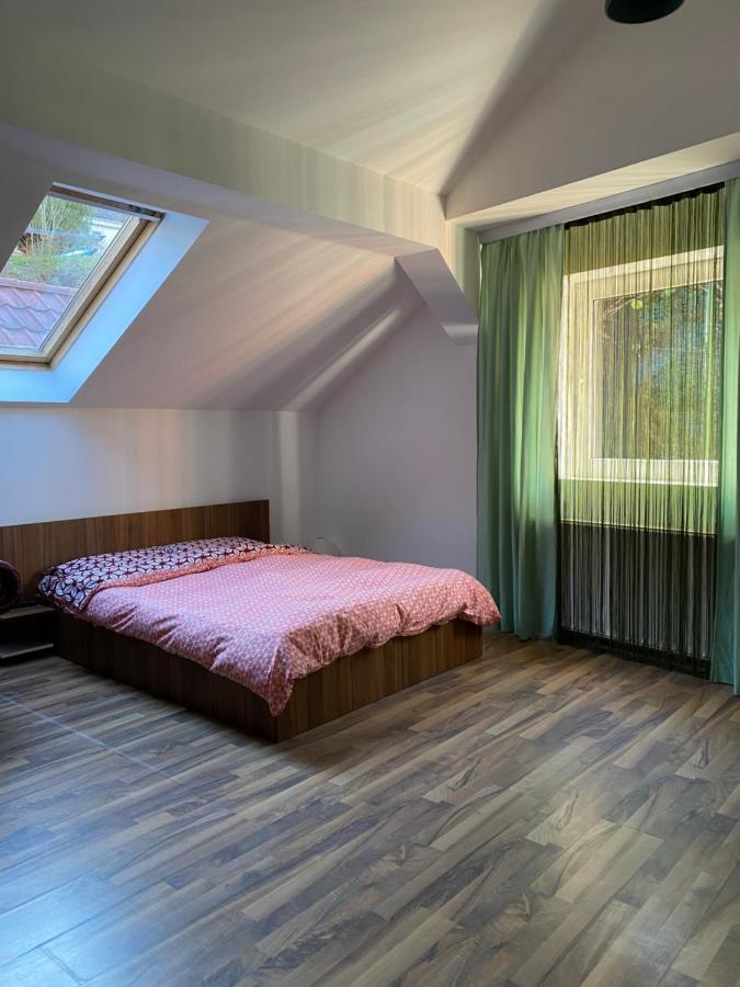Villa Zetta Braşov Extérieur photo