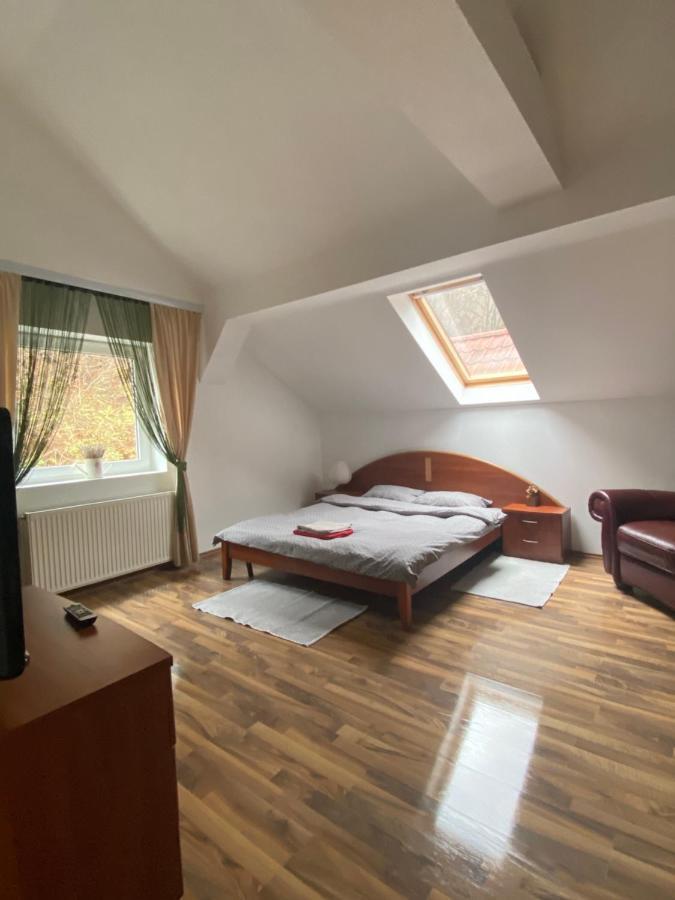 Villa Zetta Braşov Extérieur photo