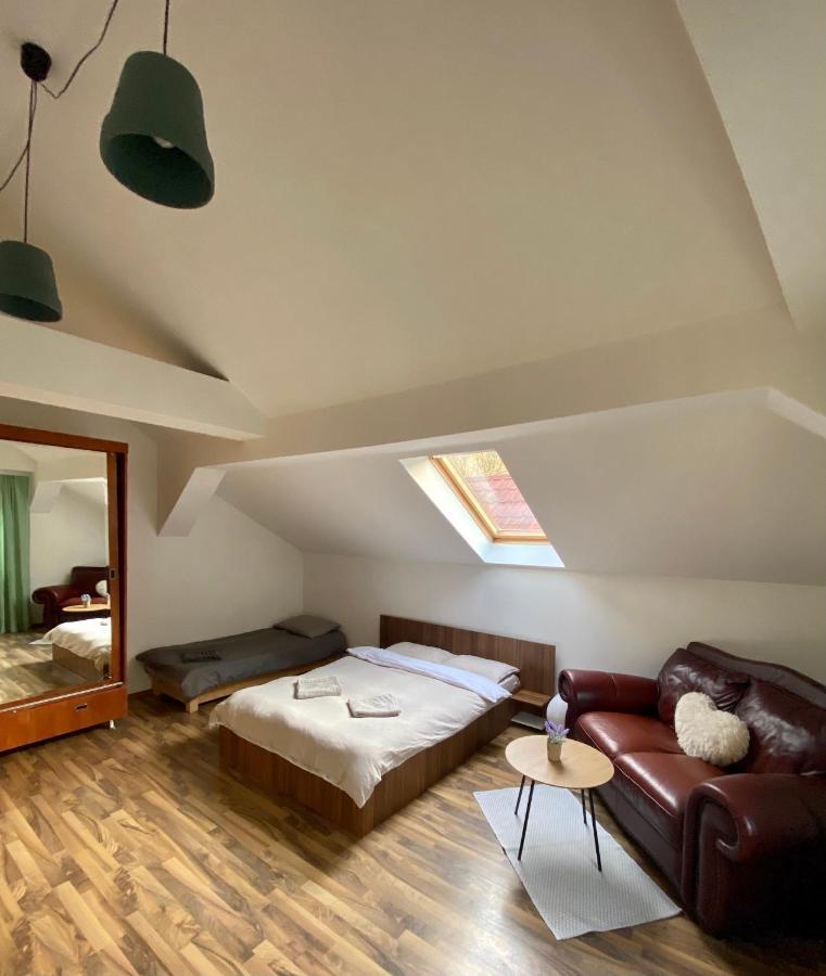 Villa Zetta Braşov Extérieur photo