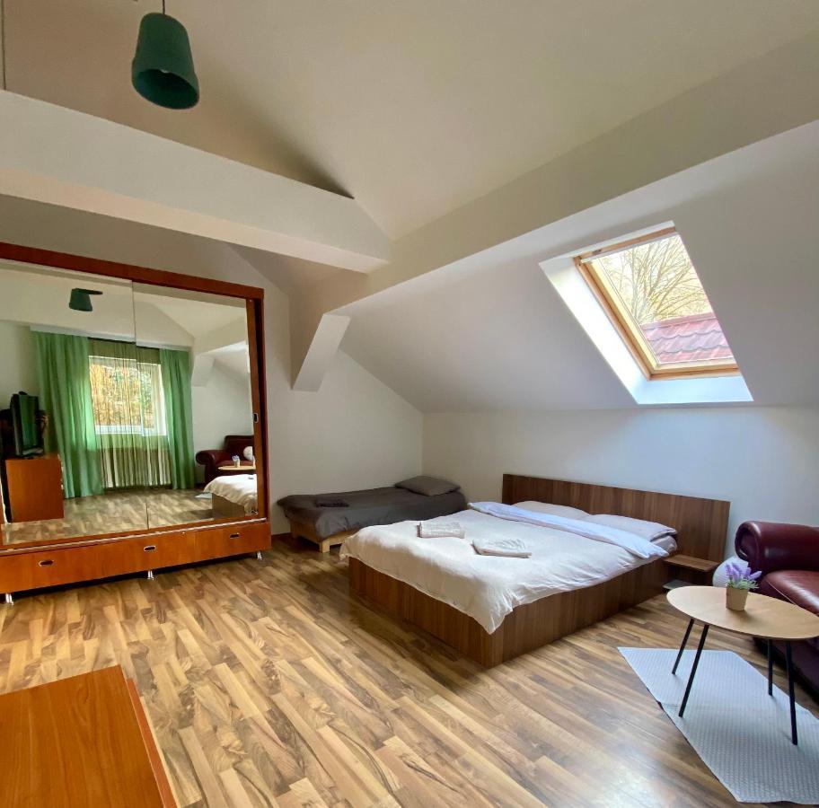 Villa Zetta Braşov Extérieur photo