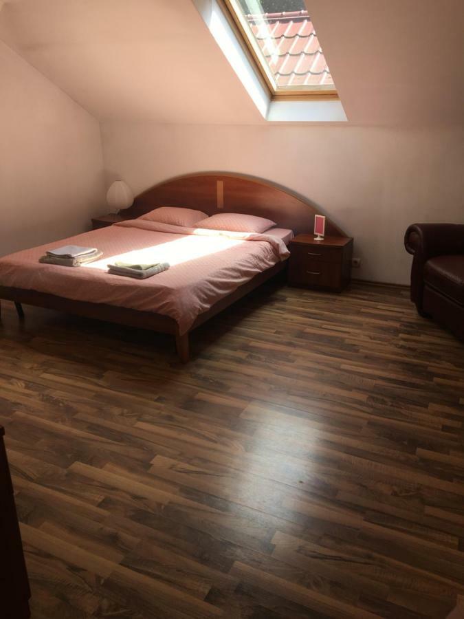 Villa Zetta Braşov Extérieur photo