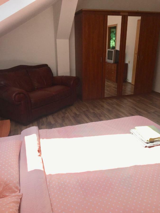 Villa Zetta Braşov Extérieur photo