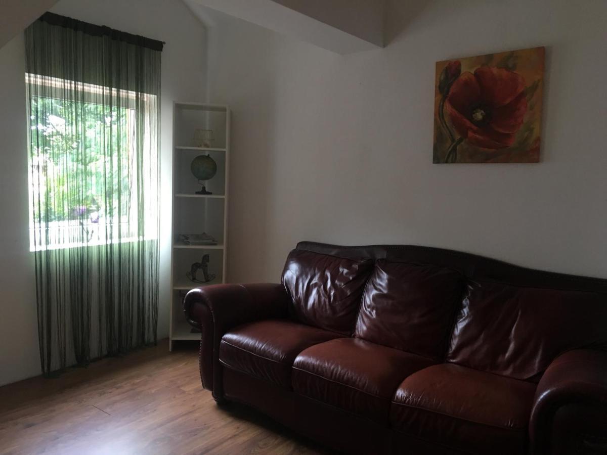 Villa Zetta Braşov Extérieur photo